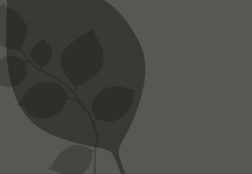 Loofrijk Brochure nieuwbouw